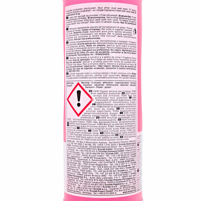 ECOLAB MAXX Into Citrus 2* Hochleistungs-Sanitärreinger