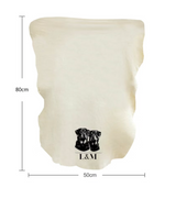 L&M Pro Leather Fensterleder aus Chamois-Leder 50x80cm